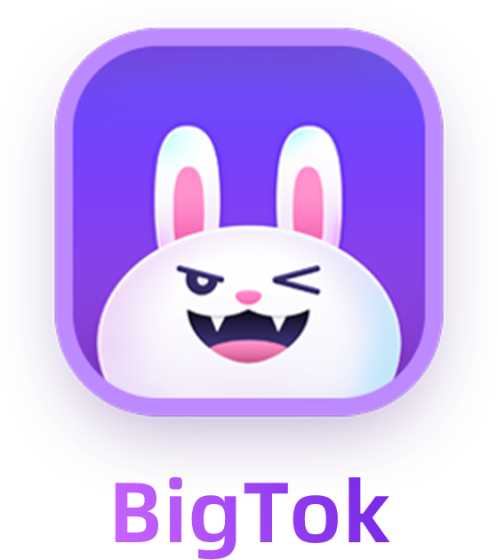 BigTok Logo